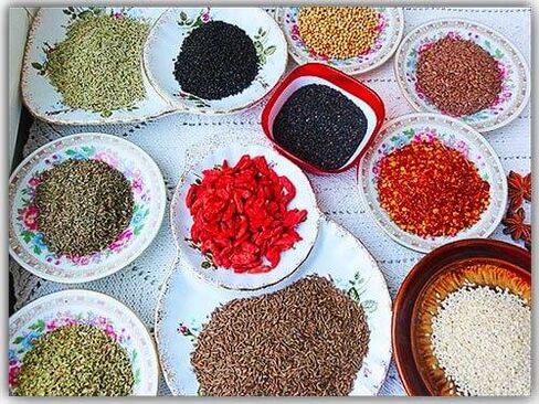 skořice a hřebíček proti parazitům